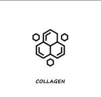 Collagen Hydrolysate