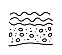 Elastin Hydrolysate